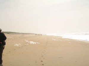 Winter walk along the Salinas River Beach 2010