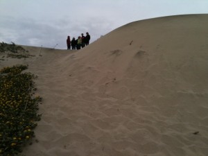 Inn to inn walking around the Monterey Bay, sand dunes